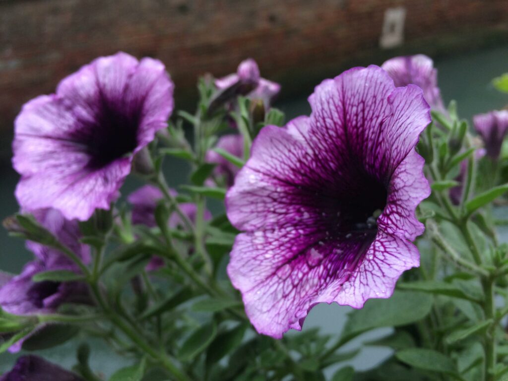 Planta alumínio – pílea alumínio