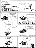 vidadepassarinh-3275966