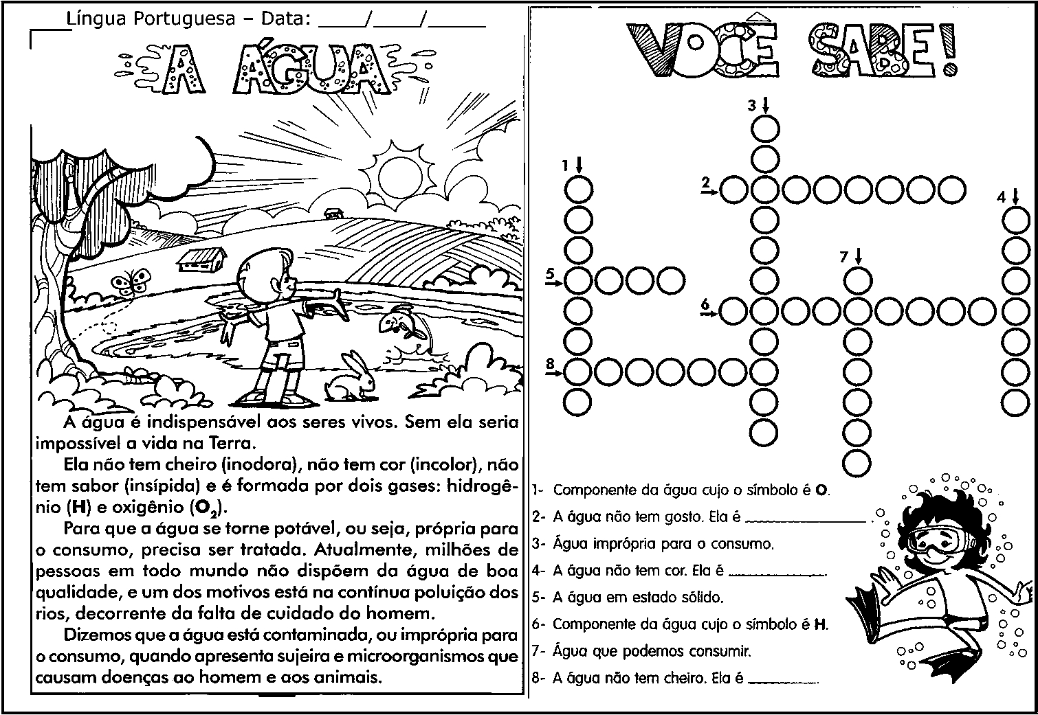 texto e cruzada